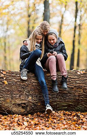Girls using smartphone on tree trunk in autumn forest View Large Photo Image Stock Image - Girls using smartphone on tree trunk in autumn forest. Fotosearch