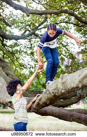 Stock Image - Mature woman holding sons hand whilst climbing park tree branch. Fotosearch