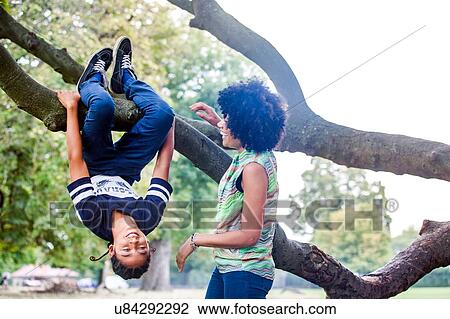 Mature woman watching son upside down on park tree branch View Large Photo Image Stock Image - Mature woman watching son upside down on park tree branch. Fotosearch