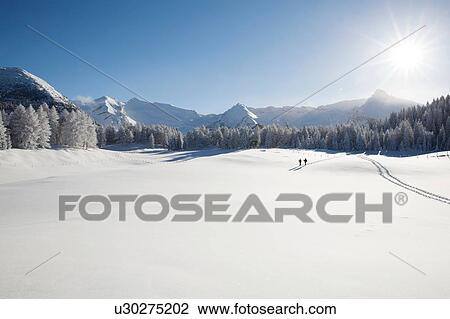 Mountain range, trees and senior couple far away on snowy landscape, Sattelbergalm, Tyrol, Austria View Large Photo Image Stock Image - Mountain range, trees and senior couple far away on snowy landscape, Sattelbergalm, Tyrol, Austria. Fotosearch