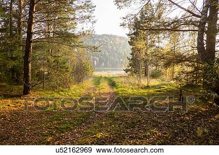 Pathway through forest, Ural, Russia View Large Photo Image Stock Photo - Pathway through forest, Ural, Russia. Fotosearch