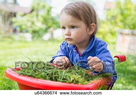 Portrait of cute female toddler leaning on toy wheelbarrow in garden View Large Photo Image Picture - Portrait of cute female toddler leaning on toy wheelbarrow in garden. Fotosearch