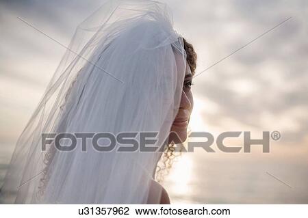 Portrait of young woman wearing wedding dress and veil View Large Photo Image Stock Image - Portrait of young woman wearing wedding dress and veil. Fotosearch