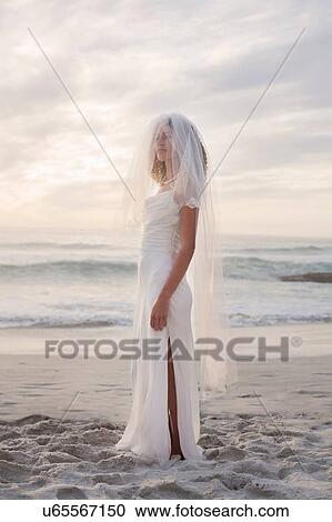 Portrait of young woman wearing wedding dress and veil View Large Photo Image Stock Image - Portrait of young woman wearing wedding dress and veil. Fotosearch
