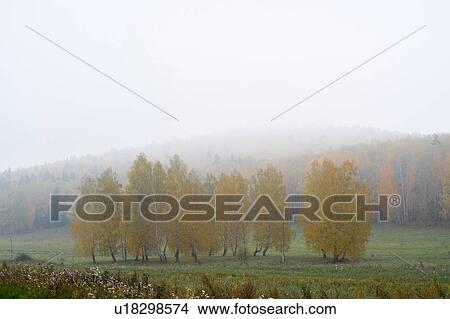 Rural scene, Ural, Russia View Large Photo Image Picture - Rural scene, Ural, Russia. Fotosearch