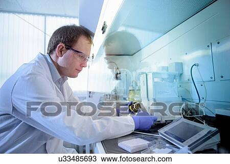 Stock Image - Scientist weighing chemicals in fume cupboard in testing laboratory. Fotosearch