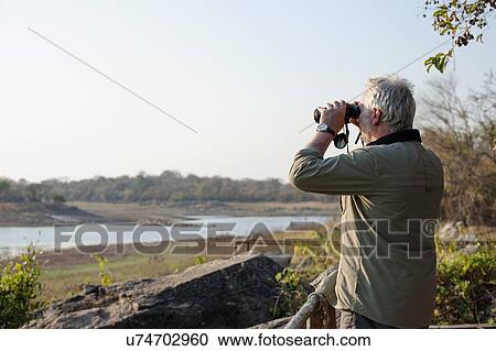 Senior man looking out through binoculars at river, Kafue National Park, Zambia View Large Photo Image Stock Image - Senior man looking out through binoculars at river, Kafue National Park, Zambia. Fotosearch
