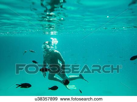 Underwater view of man sea snorkeling, Menorca, Balearic islands, Spain View Large Photo Image Stock Photo - Underwater view of man sea snorkeling, Menorca, Balearic islands, Spain. Fotosearch