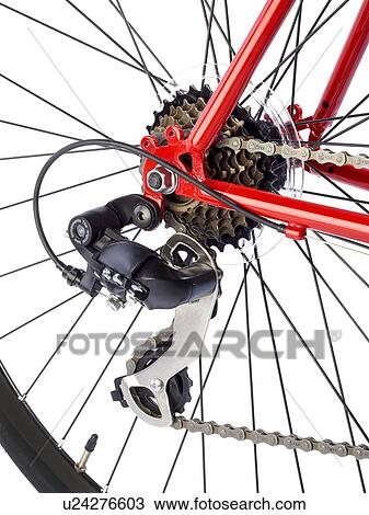 mountain bike rear sprocket