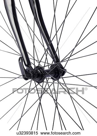 bicycle wheel spokes