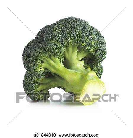 Broccoli against a white background. View Large Illustration Clipart - Broccoli against a white background.. Fotosearch