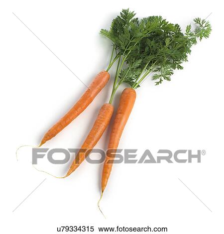 Stock Illustration - Carrots against a white background.. Fotosearch