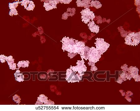 Stock Illustration - Circulating antibodies, computer illustration.. Fotosearch