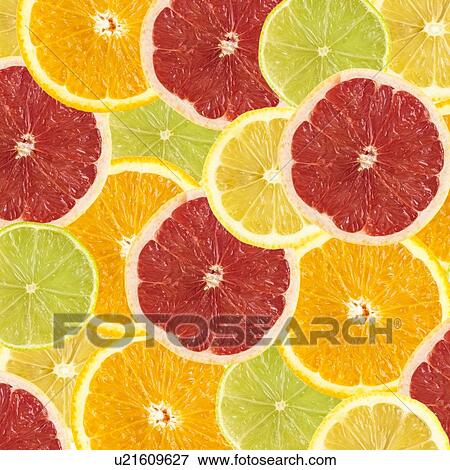 Stock Illustration - Citrus fruit slices.. Fotosearch