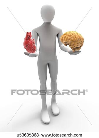 Stock Illustration - Computer artwork of a 3D human with heart and brain in his hands.. Fotosearch