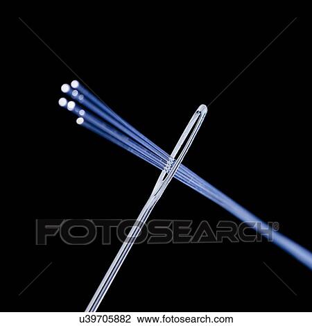 Drawing - Fibre optics being thread through a needle, close up.. Fotosearch