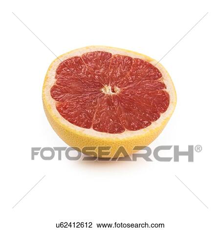 Drawing - Half a grapefruit against a white background.. Fotosearch
