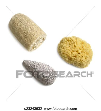 Natural sponge, loofa and pumice against a white background. View Large Illustration Drawing - Natural sponge, loofa and pumice against a white background.. Fotosearch