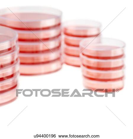 Stock Illustration - Petri dishes against a white background.. Fotosearch