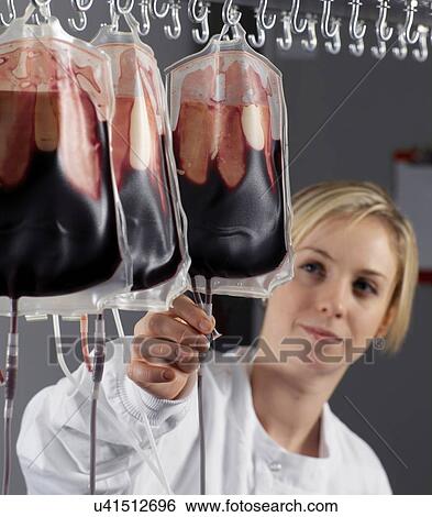 Stock Photograph - PROPERTY RELEASED. MODEL RELEASED. Laboratory technician monitoring donor blood being processed in a laboratory.. Fotosearch
