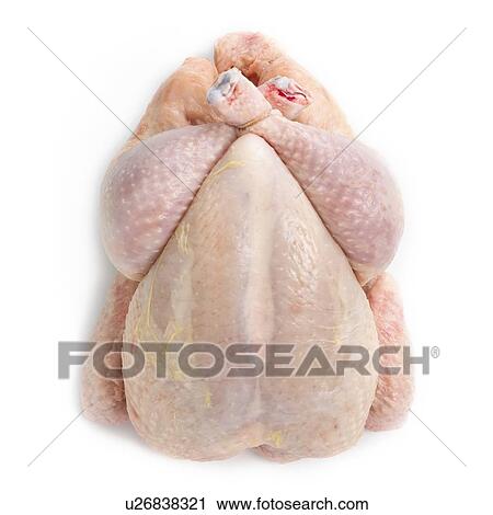Clip Art - Raw chicken against a white background.. Fotosearch