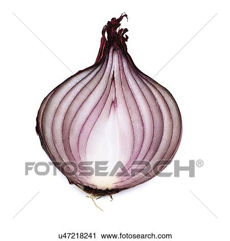 Clip Art - Red onion against a white background.. Fotosearch