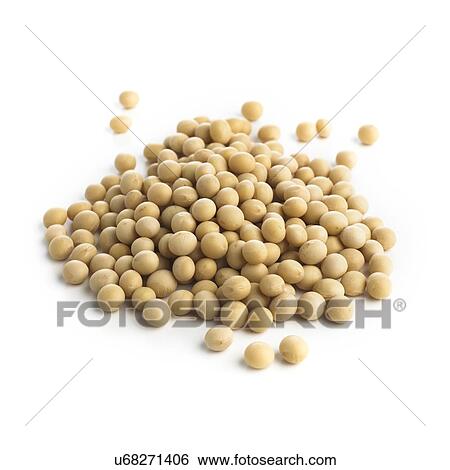 Soya beans against a white background. View Large Illustration Stock Illustration - Soya beans against a white background.. Fotosearch