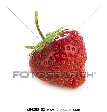 Strawberry against a white background. View Large Illustration Drawing - Strawberry against a white background.. Fotosearch