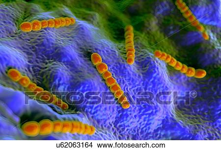 Streptococcus pneumoniae bacteria, computer illustration. View Large Illustration Stock Illustration - Streptococcus pneumoniae bacteria, computer illustration.. Fotosearch