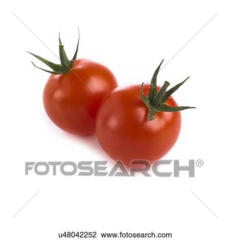 Drawing - Tomatoes against a white background.. Fotosearch