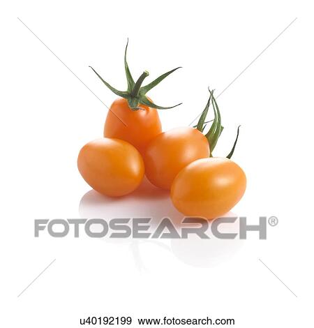 Tomatoes. View Large Illustration Stock Illustration - Tomatoes.. Fotosearch