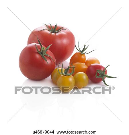 Tomatoes. View Large Illustration Stock Illustration - Tomatoes.. Fotosearch