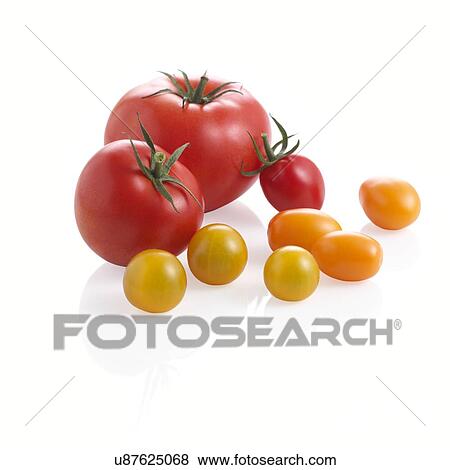 Stock Illustration - Tomatoes.. Fotosearch