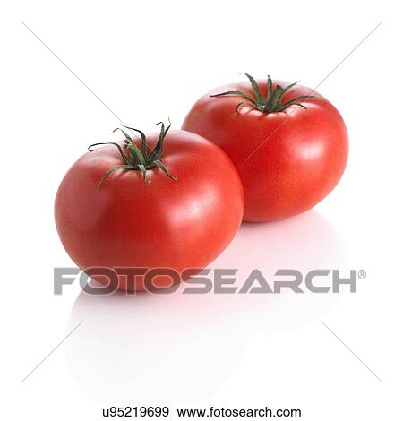 Tomatoes. View Large Illustration Stock Illustration - Tomatoes.. Fotosearch
