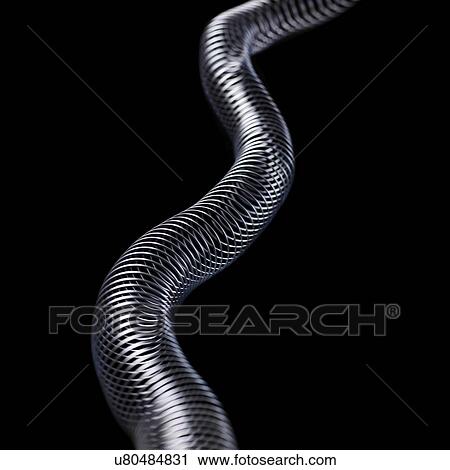 Transverse wave in a slinky spring. In transverse (or shear) waves the displacement is at right angles to the direction of propagation. View Large Illustration Clip Art - Transverse wave in a slinky spring. In transverse (or shear) waves the displacement is at right angles to the direction of propagation.. Fotosearch