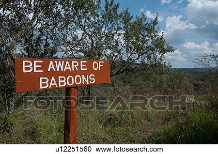 Baboon warning sign, Rift Valley, Kenya View Large Photo Image Stock Image - Baboon warning sign, Rift Valley, Kenya. Fotosearch