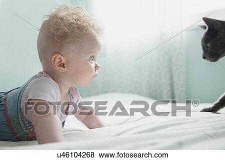 Baby girl and pet cat, face to face View Large Photo Image Stock Photo - Baby girl and pet cat, face to face. Fotosearch