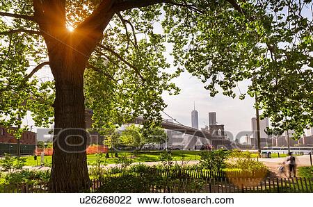 Brooklyn Bridge Park, New York, USA View Large Photo Image Stock Image - Brooklyn Bridge Park, New York, USA. Fotosearch