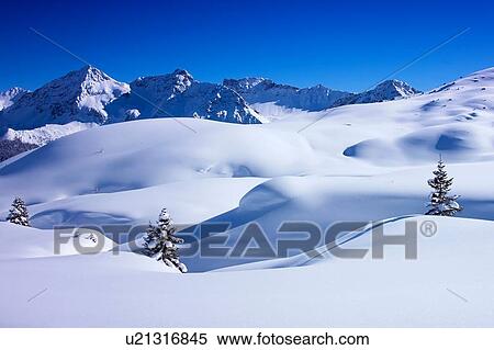 Deep snow covered landscape and fir trees, Arosa, Switzerland View Large Photo Image Stock Photography - Deep snow covered landscape and fir trees, Arosa, Switzerland. Fotosearch