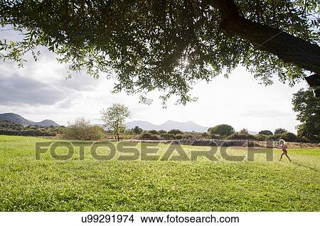 Distant view of female toddler running in field, Calvi, Corsica, France View Large Photo Image Picture - Distant view of female toddler running in field, Calvi, Corsica, France. Fotosearch