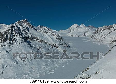Elevated view of Aletsch glacier in the Swiss Alps, Berner Oberland, Switzerland View Large Photo Image Stock Photo - Elevated view of Aletsch glacier in the Swiss Alps, Berner Oberland, Switzerland. Fotosearch