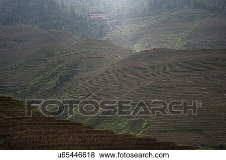 Elevated view of Longsheng terraced ricefields, Guangxi Zhuang, China View Large Photo Image Stock Photo - Elevated view of Longsheng terraced ricefields, Guangxi Zhuang, China. Fotosearch
