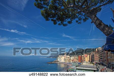 Elevated view of waterfront and mediterranean, Camogli, Liguria, Italy View Large Photo Image Stock Image - Elevated view of waterfront and mediterranean, Camogli, Liguria, Italy. Fotosearch