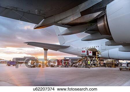 Ground crew loading A380 aircraft at sunset View Large Photo Image Picture - Ground crew loading A380 aircraft at sunset. Fotosearch