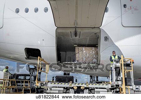 Ground crew loading A380 jet aircraft at airport View Large Photo Image Picture - Ground crew loading A380 jet aircraft at airport. Fotosearch