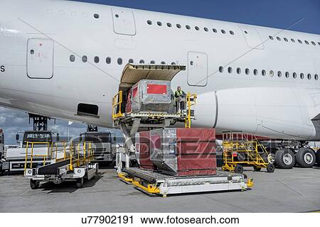Ground crew loading freight and luggage into A380 aircraft View Large Photo Image Stock Image - Ground crew loading freight and luggage into A380 aircraft. Fotosearch