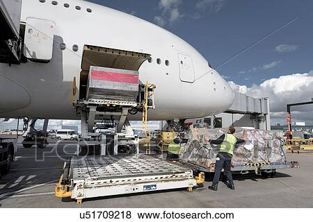 Stock Photo - Ground crew loading freight into A380 aircraft. Fotosearch