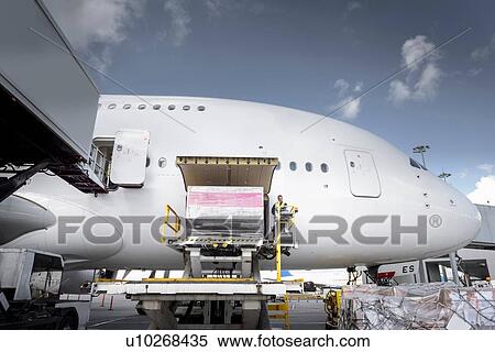 Stock Photography - Ground crew loading freight into A380 aircraft. Fotosearch