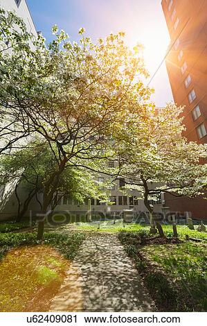 Jewish cemetery, Mid Town Manhattan, New York, USA View Large Photo Image Stock Image - Jewish cemetery, Mid Town Manhattan, New York, USA. Fotosearch