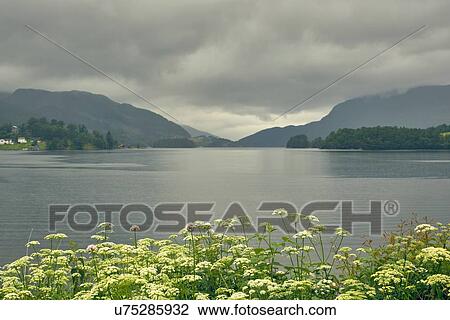 Landscape with fjord and distant mountains, Etne, Norway View Large Photo Image Stock Image - Landscape with fjord and distant mountains, Etne, Norway. Fotosearch